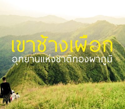 เขาช้างเผือก